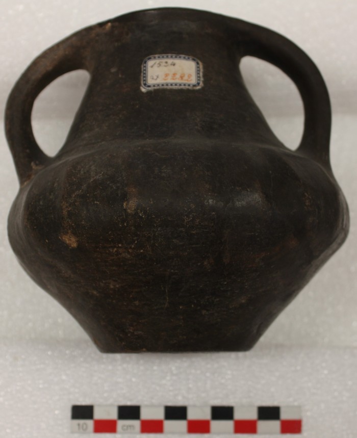 anforetta biconica