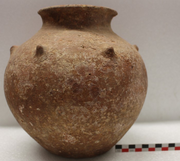 olla