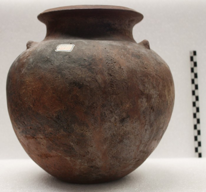 olla