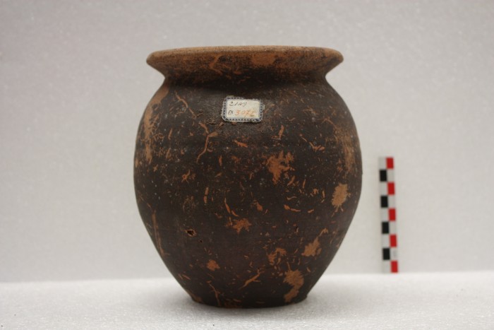 olla