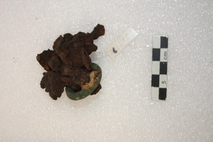 fibula in ferro con anello in bronzo