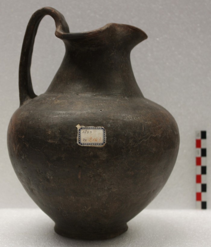 oinochoe trilobata
