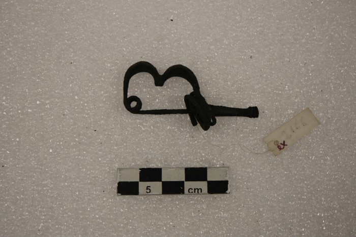 fibula e anello in bronzo