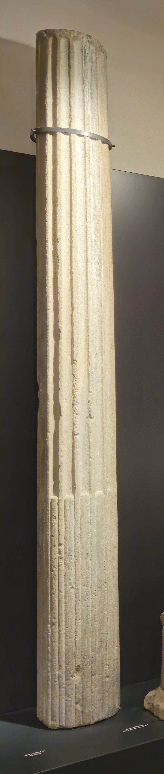 fusto di colonna scanalata