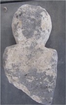 columella