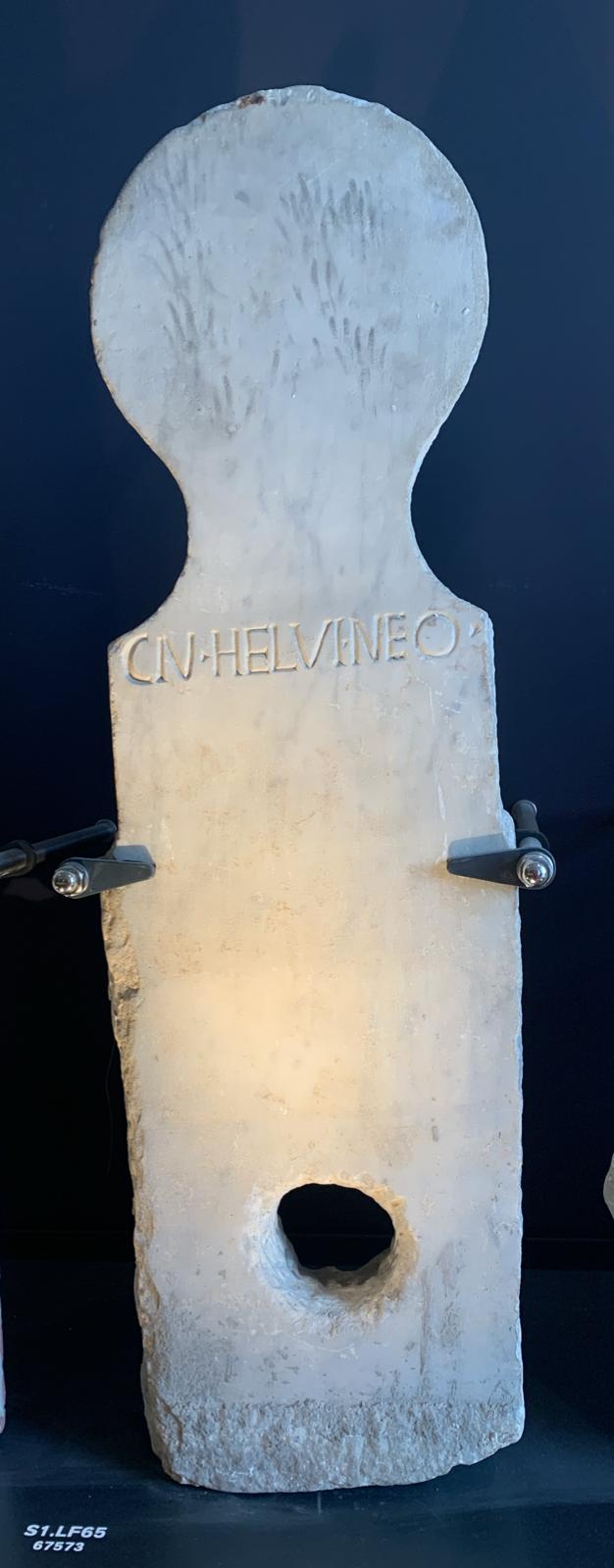 columella marmorea