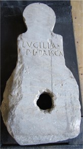 columella marmorea