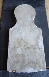 columella marmorea