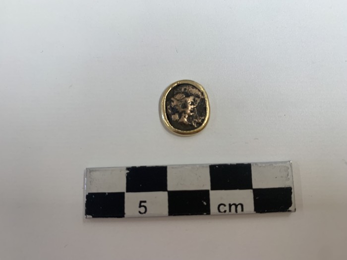 moneta di oro