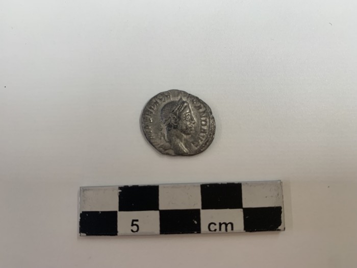 moneta di argento