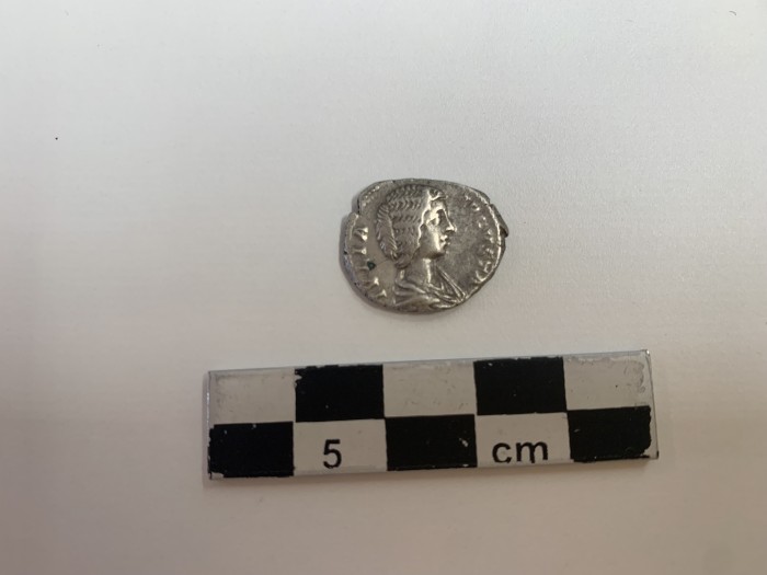 moneta di argento