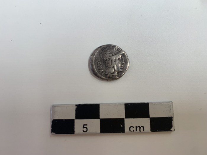 moneta di argento