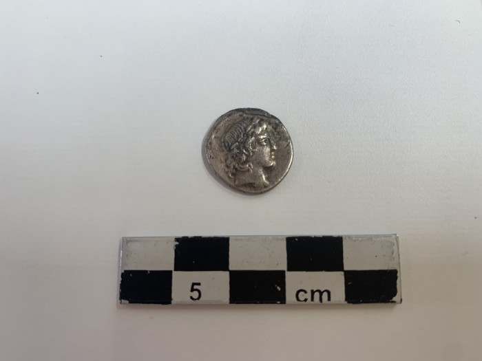 moneta di argento