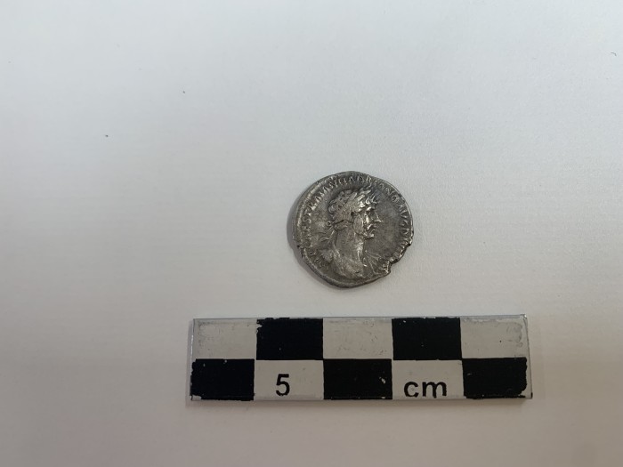 moneta di argento