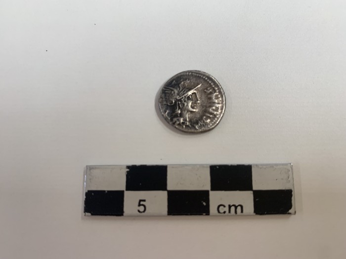 moneta di argento