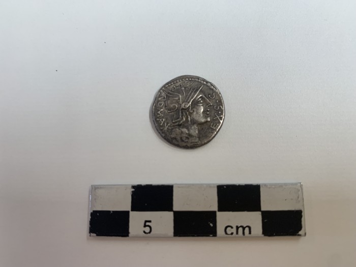 moneta di argento