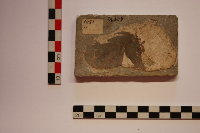 frammento di affresco
