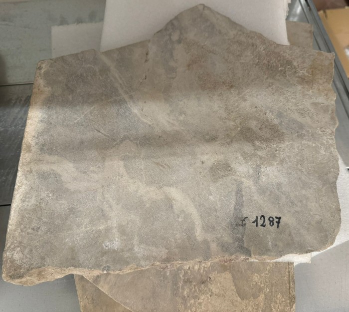sei frammenti di lastra marmorea piana