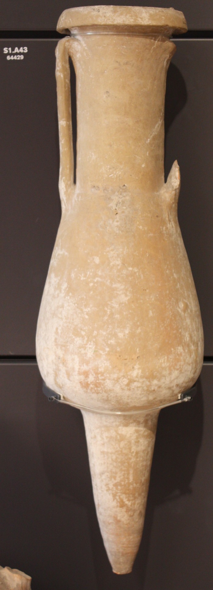 anfora di produzione iberica (Hispania Baetica, baia di Cadice e costa mediterranea)