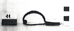 fibula in bronzo