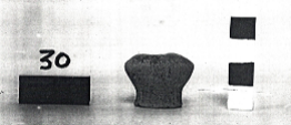 coppetta miniaturistica