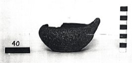 tazza