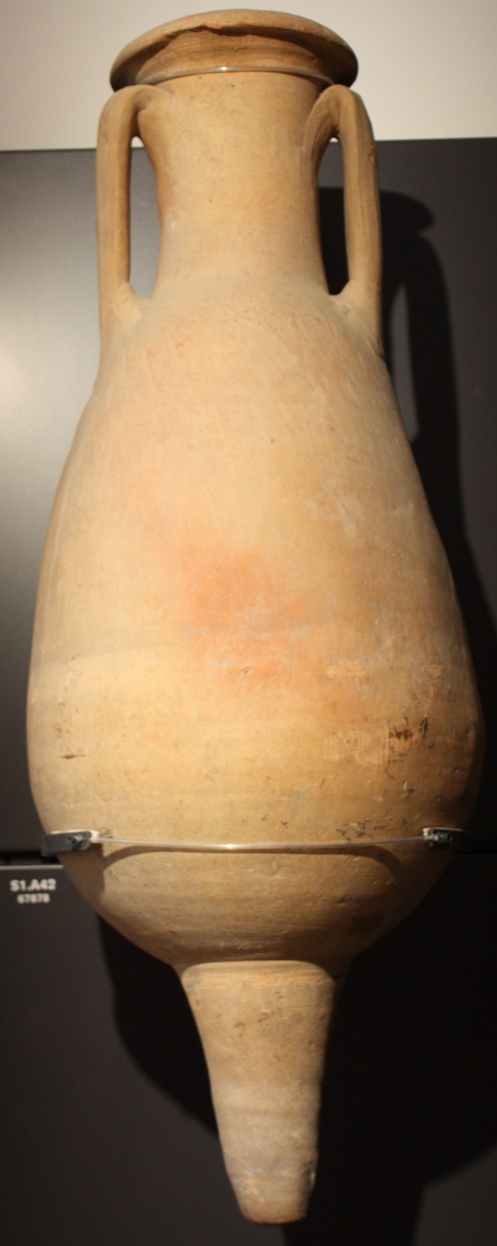 anfora di produzione iberica (Baetica)