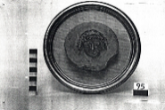 frammento di ansa di cratere