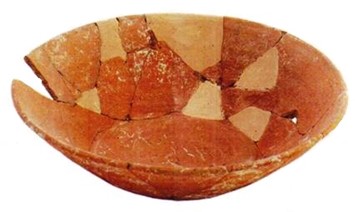coppa in ceramica