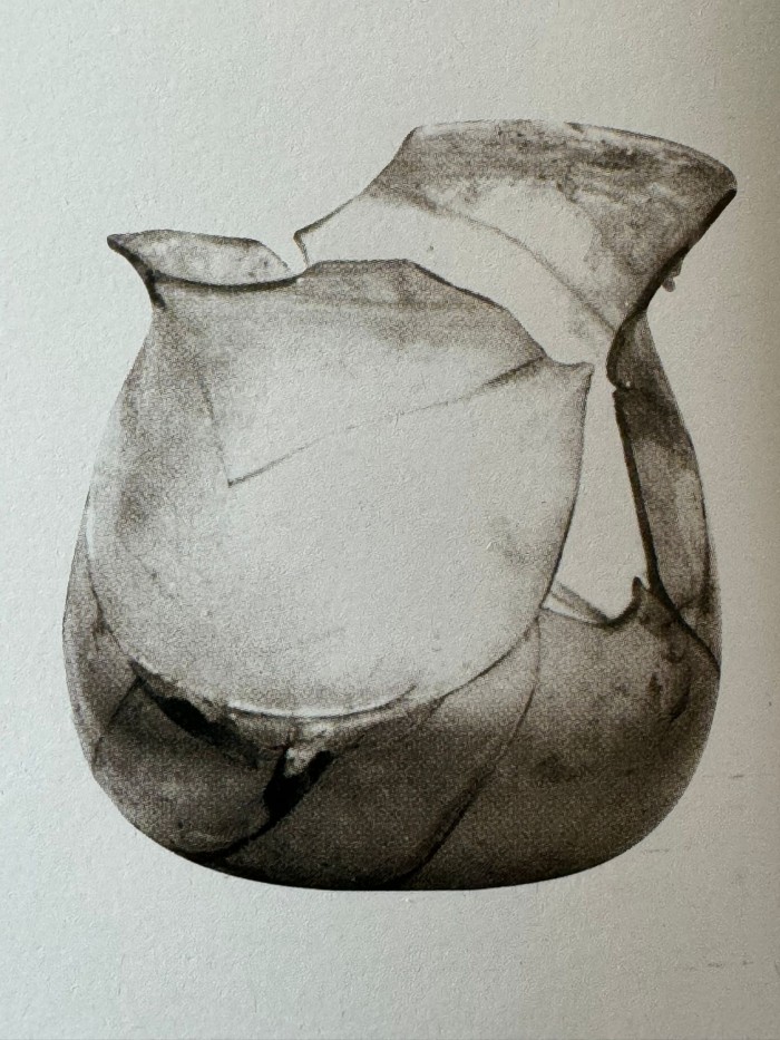 balsamario olliforme