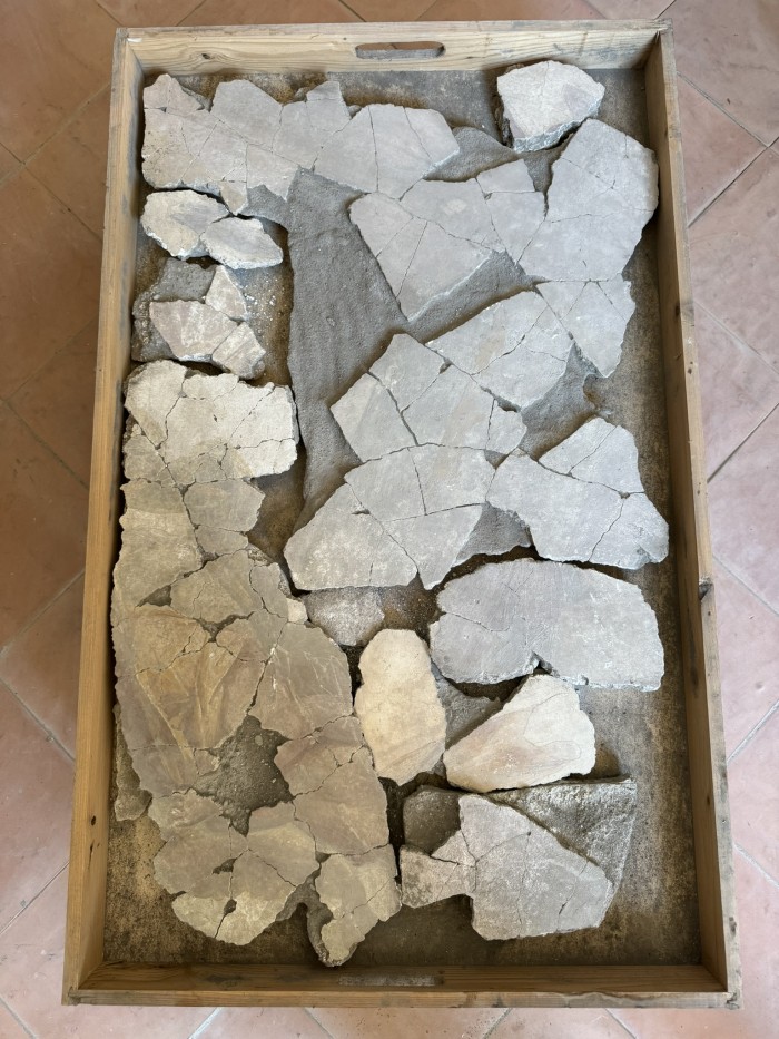 frammenti di pittura parietale