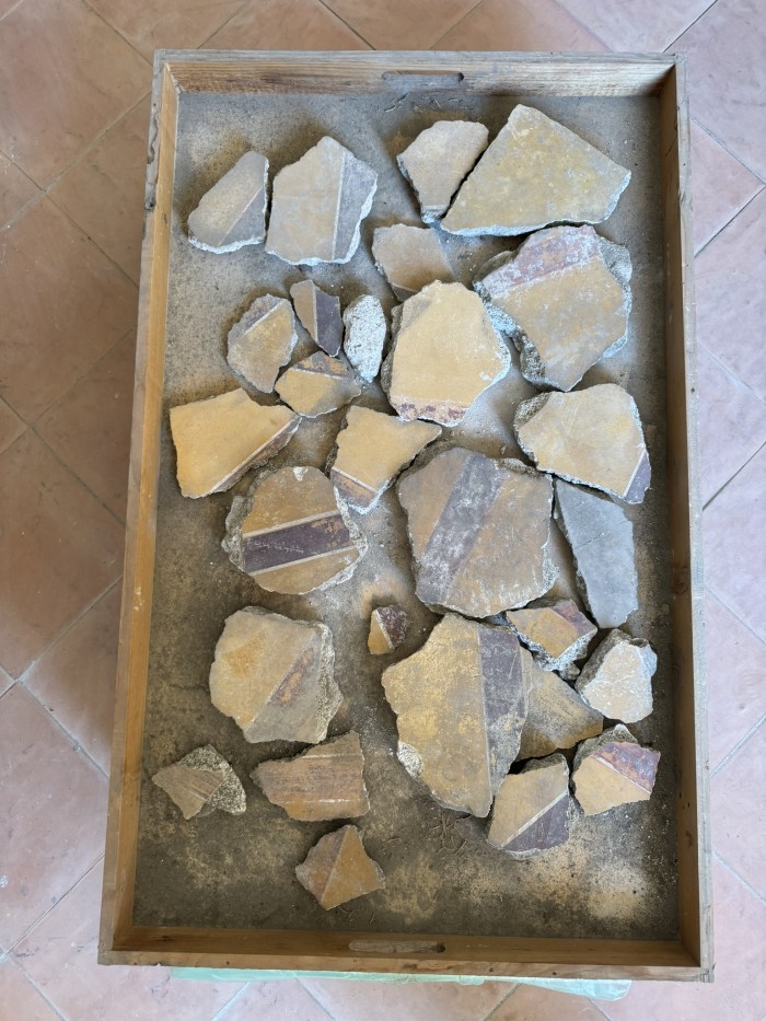 frammenti di pittura parietale