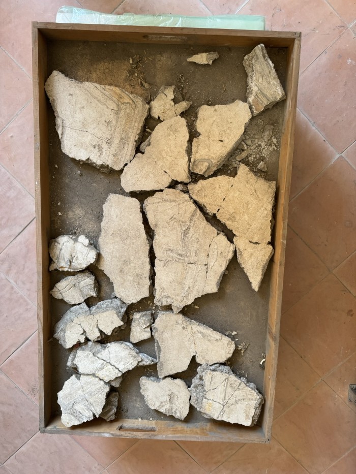 frammenti di stucco