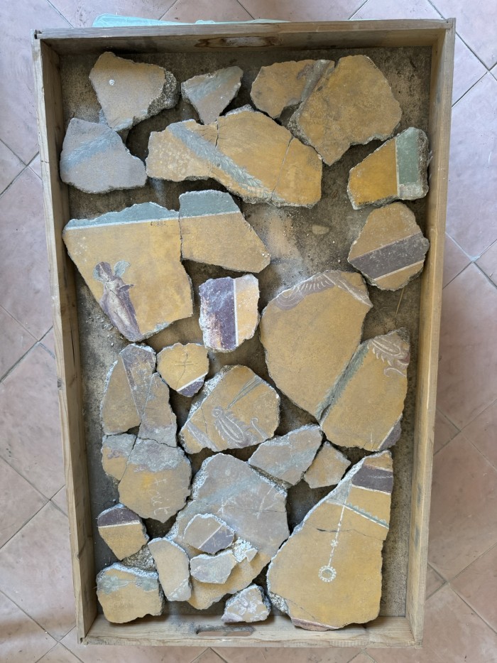 frammenti di pittura parietale