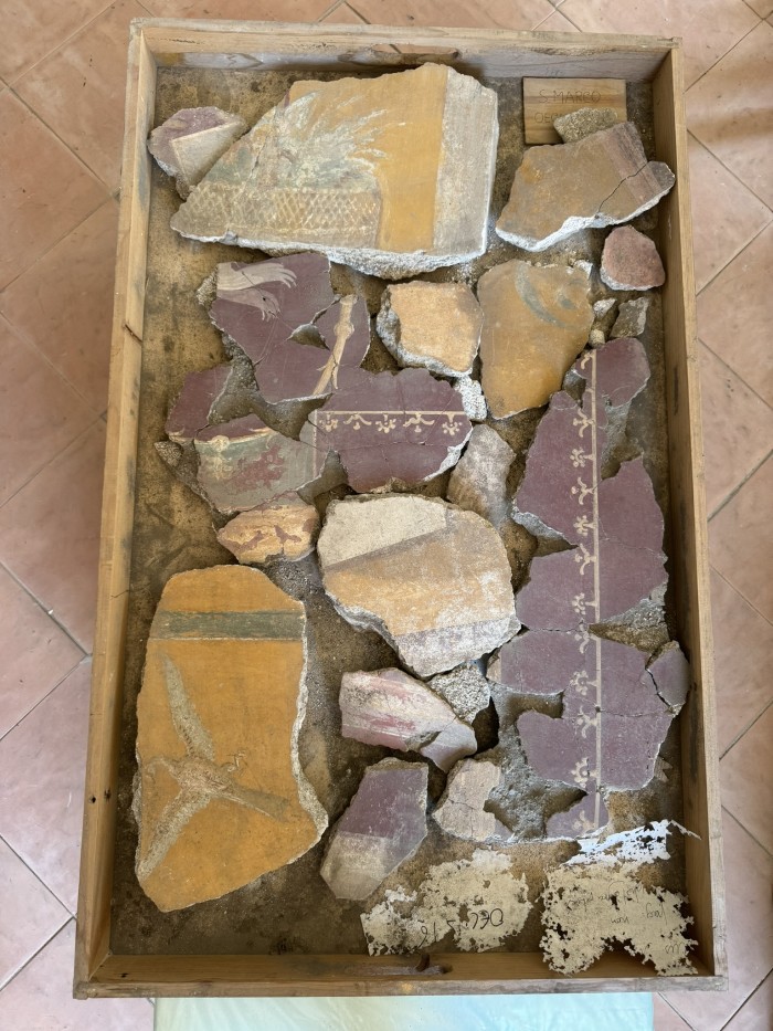 frammenti di pittura parietale