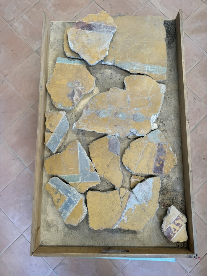 frammenti di pittura parietale