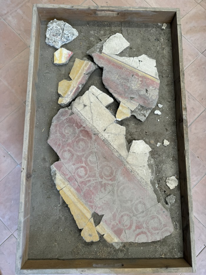 frammenti di pittura parietale