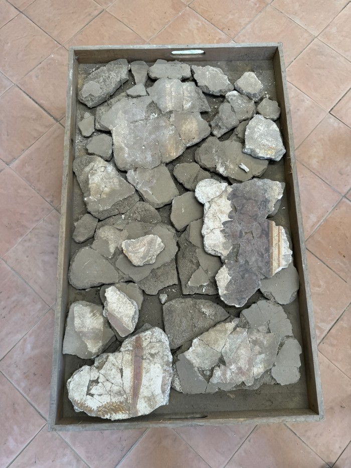 frammenti di pittura parietale