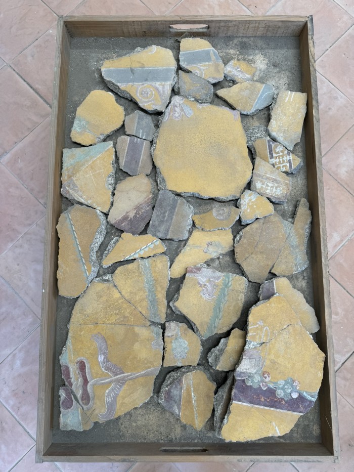frammenti di pittura parietale