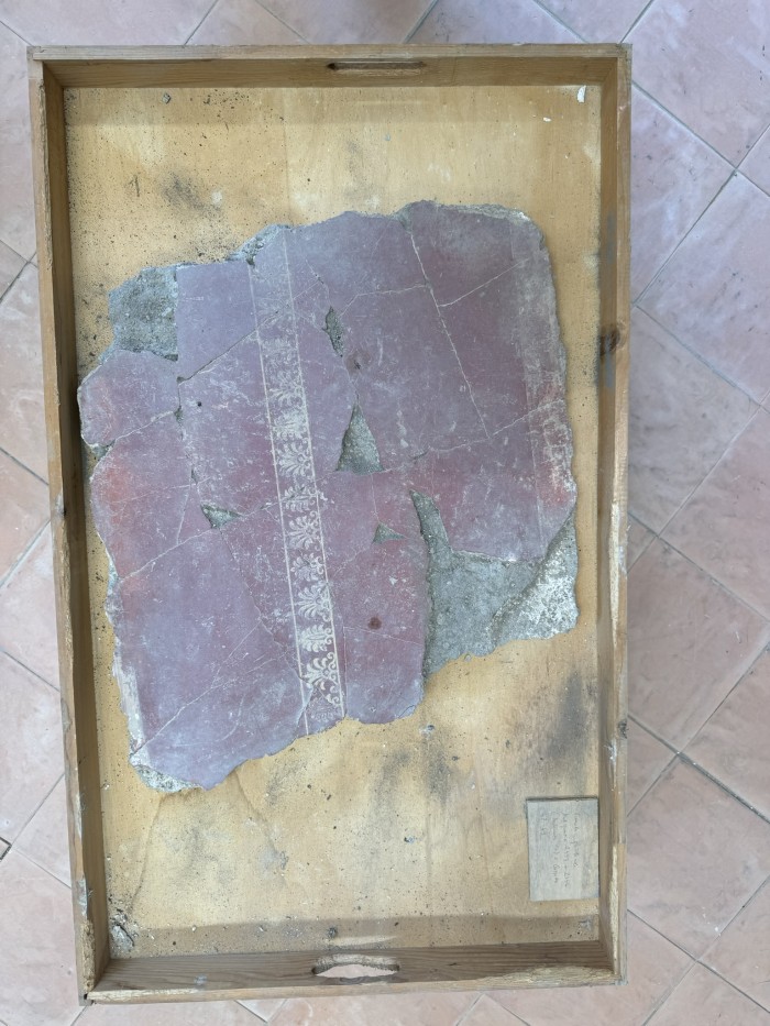 frammenti di pittura parietale