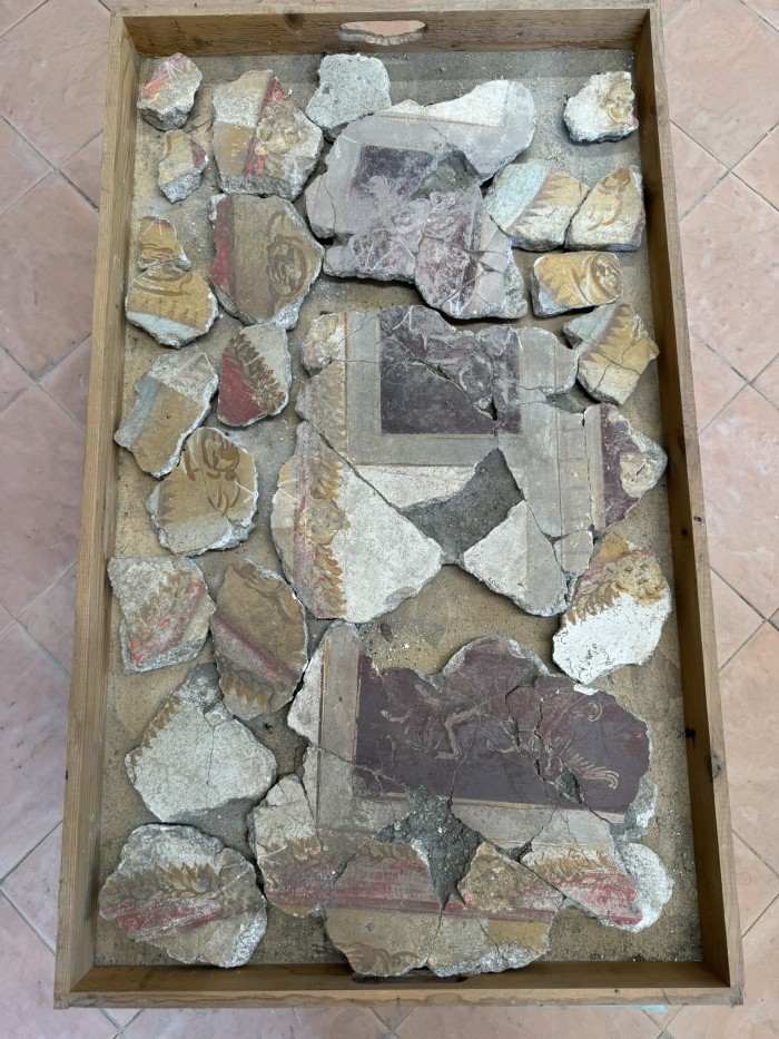 frammenti di pittura parietale