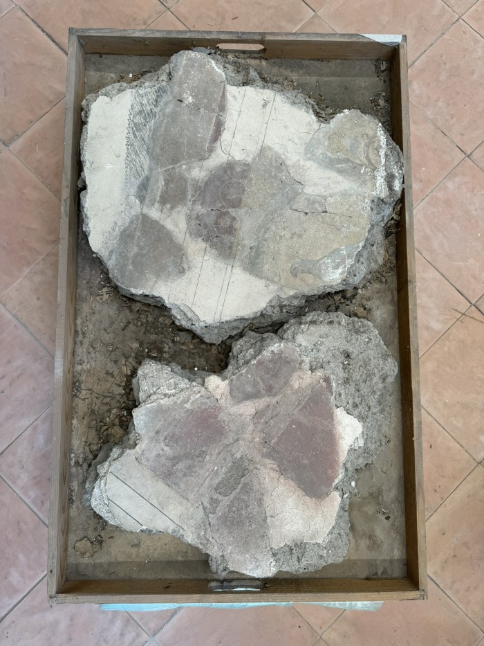 frammenti di pittura parietale