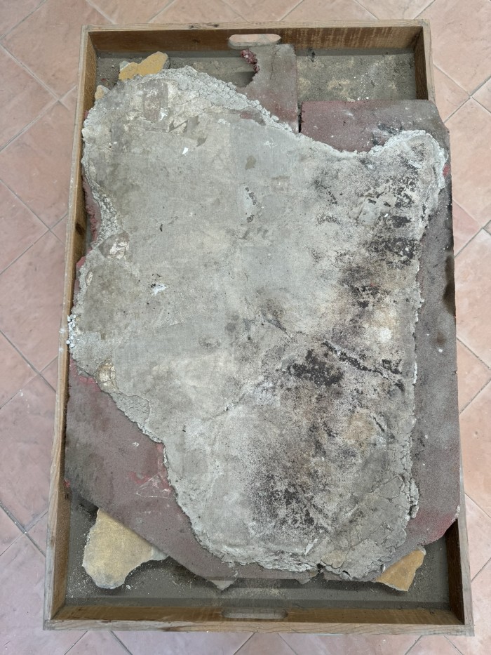 frammenti di pittura parietale