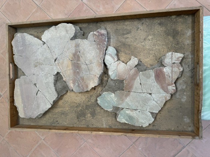 frammenti di pittura parietale