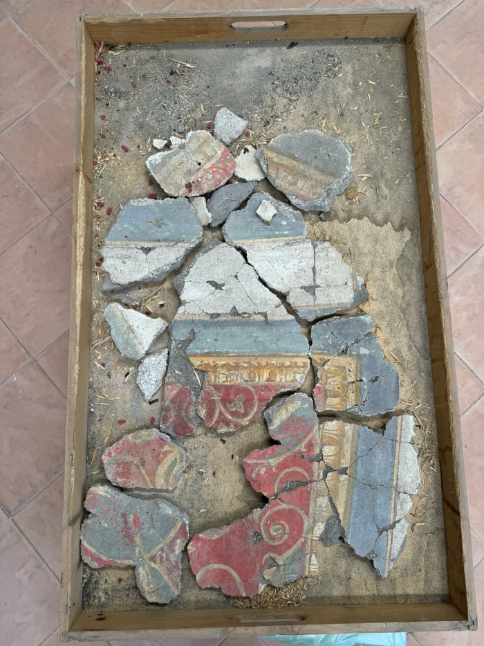 frammenti di pittura parietale