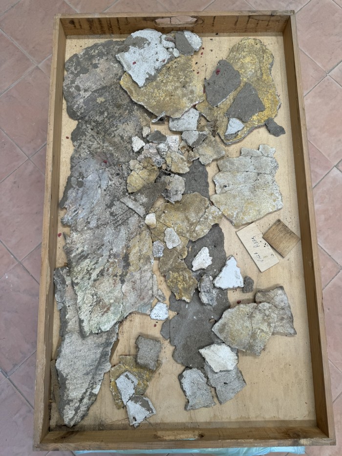 frammenti di pittura parietale