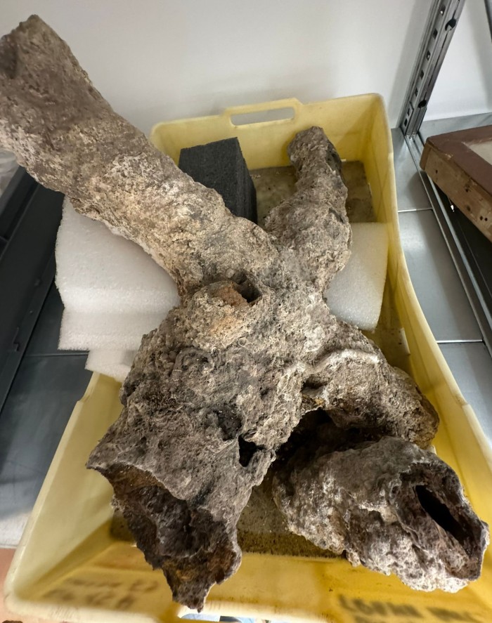 frammento di ancora in ferro