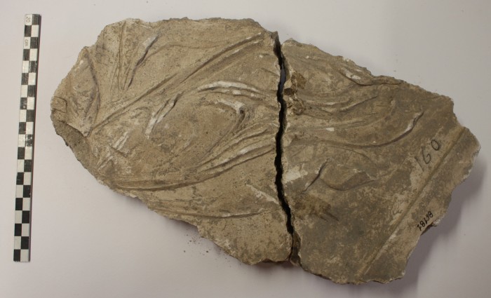 frammento di stucco