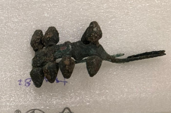 fibula a ghianda in bronzo; utensile da giardino