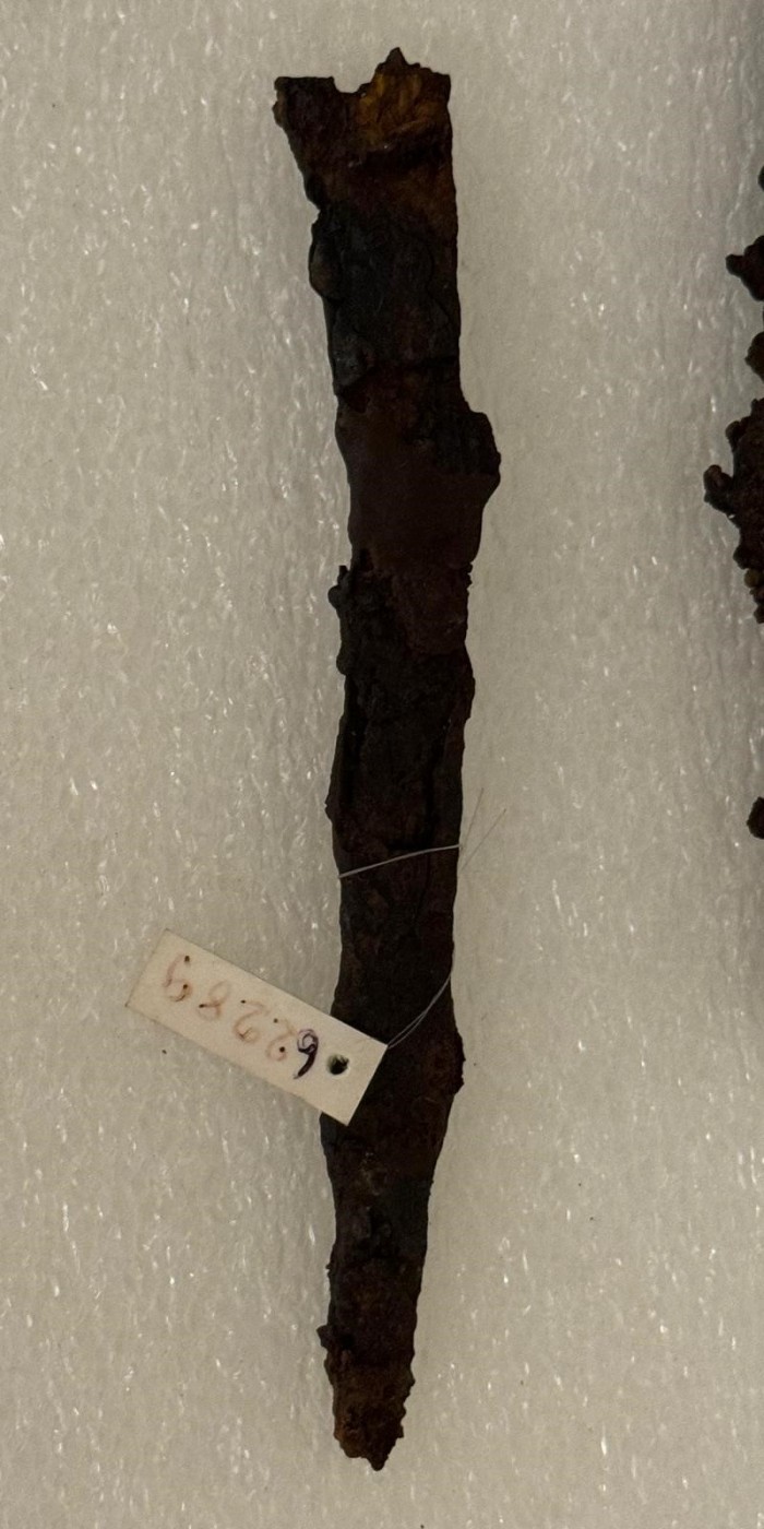 coltello in ferro